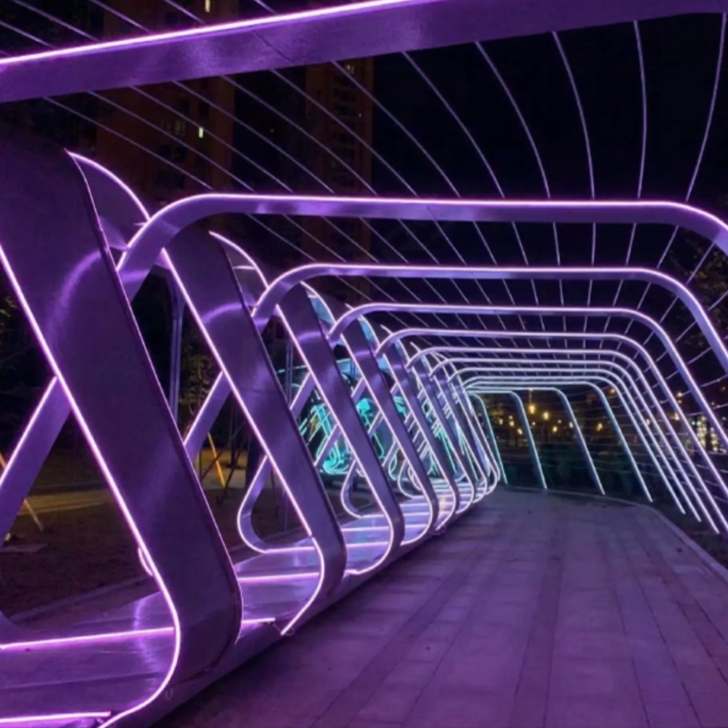 Scenario Case - Super Durable Outdoor LED Strip Lights, IP67 Waterproof Rating
