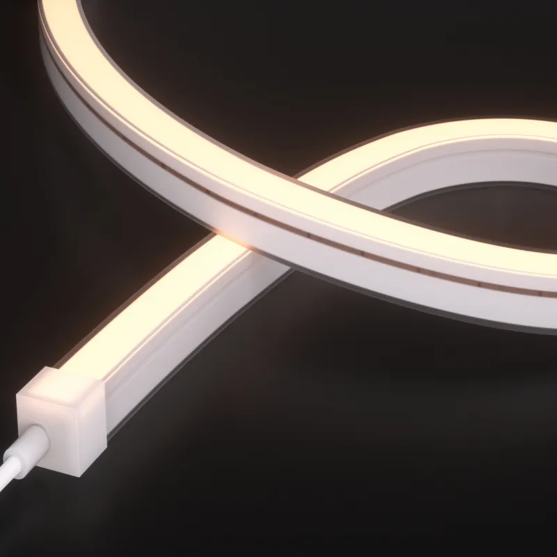 Product Model - Neon Led Strip Lighting For Swimming Pools, IP68/IP69K Neon Flex
