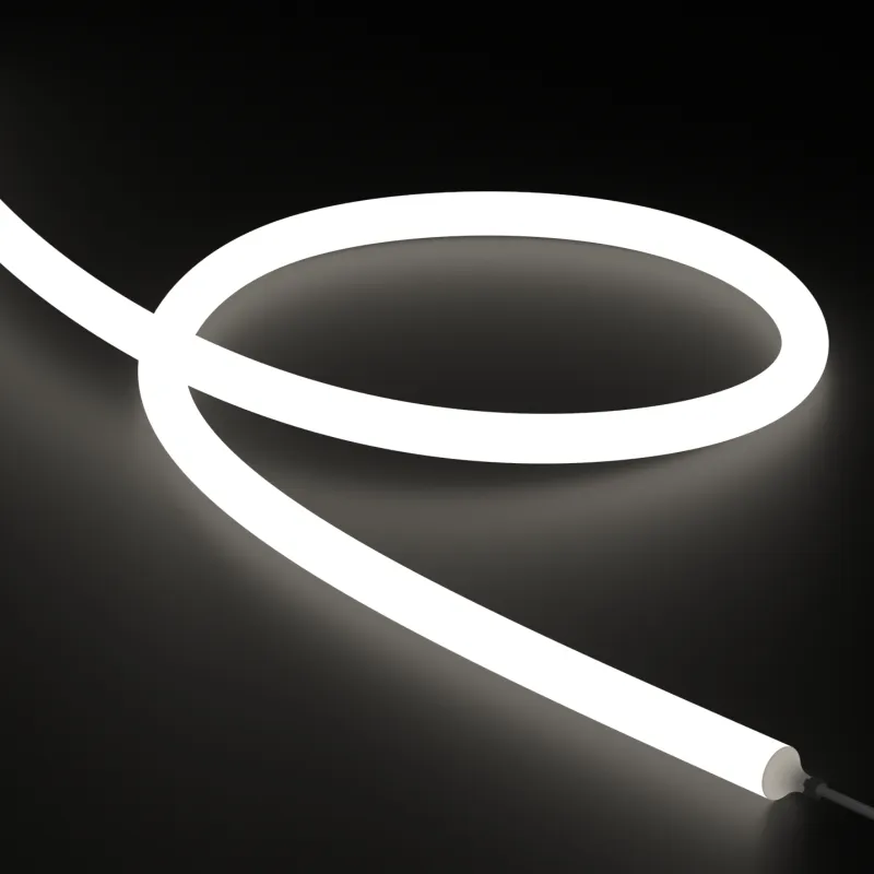 Product Model - 360 Degree LED Neon Flex,  Cuttable & Free Bending, IP65 Rated 