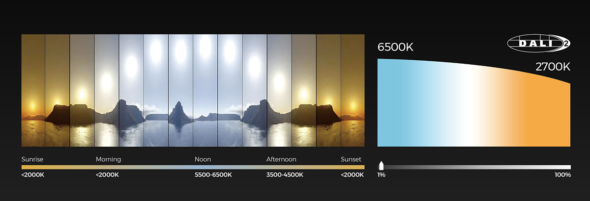 Different Types of Downlights