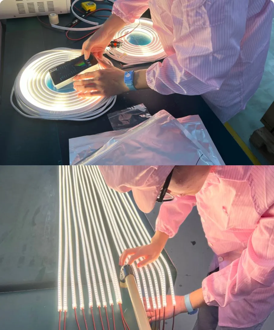 In-process Sampling Inspection & Pre-shipment Final Inspection - Manufacture - COLORS Lighting