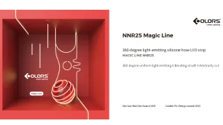 Leadership in Production Innovation - Company Product R&D - COLORS Lighting