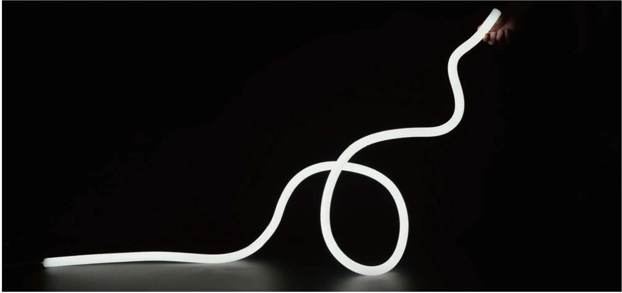 POSE-ABLE 360 Neon Strips