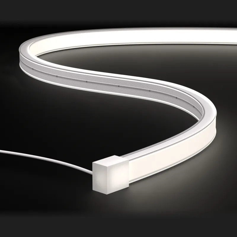 Product Model - Neon Led Strip Lighting For Swimming Pools, IP68/IP69K Neon Flex