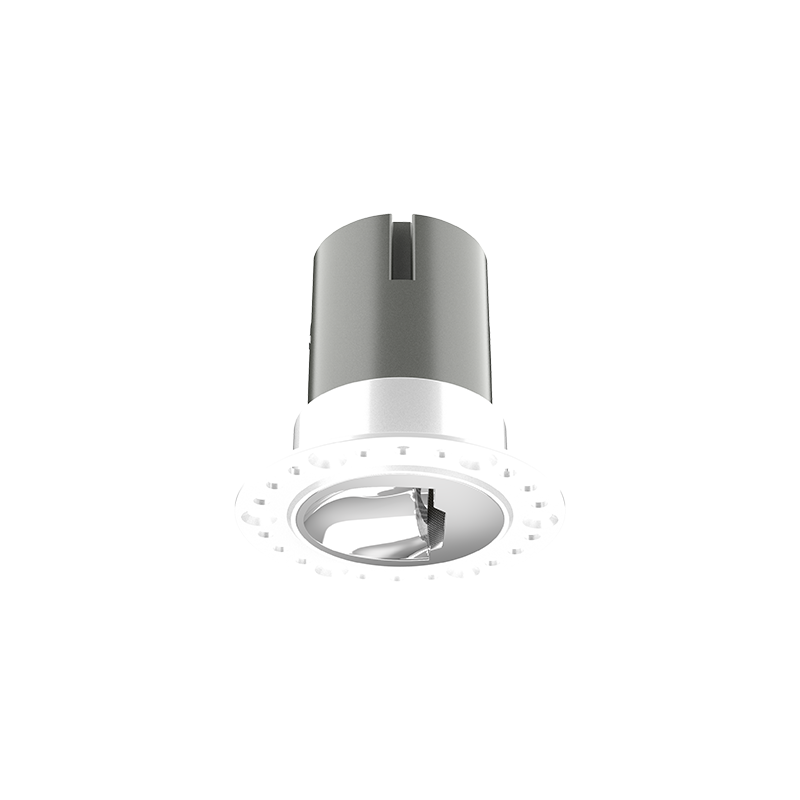 AR55L1