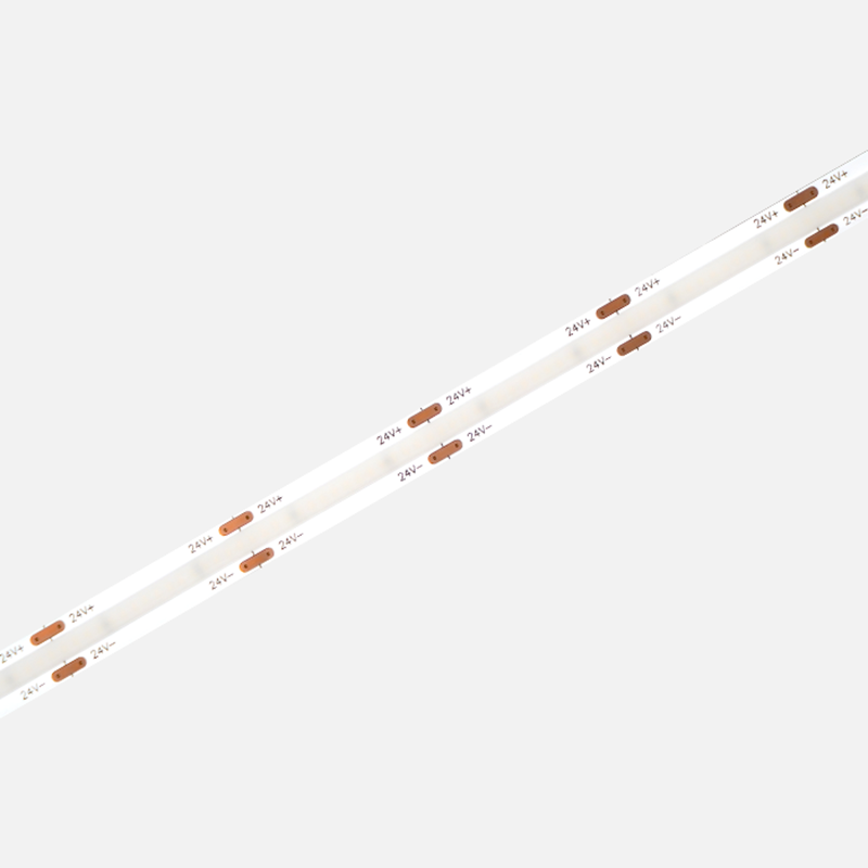 DP10-24V-8mm LED Strips - COLORS Lighting