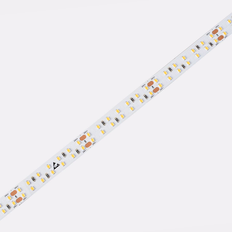 D6280-24V-10mm LED Strips - COLORS Lighting