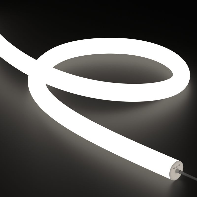 NNR40-White light-24V(LP) Neon Strips - COLORS Lighting